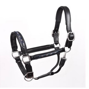 Halter de Carreras de Caballos de cuero de lujo Mega Bling decorativo Perla Azul personalizado con acolchado suave y doble costura todos los tamaños - Product Image 2