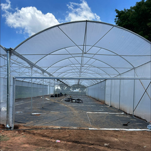 Grandes serres agricoles et tunnels de culture en film plastique PE, serres à tomates à structure métallique à vendre - Product Image 2