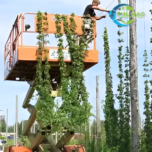 เชือกเส้นใยมะพร้าวแข็งแรงทนทานเหมาะสำหรับงานสวนทำฟาร์มและโครงการชายฝั่ง - Product Image 2