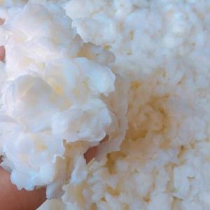 Pudding Nata De Coco d'usine du Vietnam avec le sirop/gelée de Nata De Coco crue/Jessi - Product Image 1