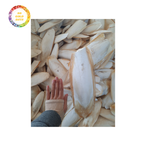 Cuttlebone de Vietnam sin recubrimiento cosechado de procesadores de mariscos para adiciones de jaulas de pájaros, proyectos artísticos y aditivos ecológicos para el suelo - Product Image 5