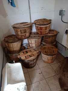 CESTA BUSHEL CON TAPA PARA MARISCOS QUE CONTIENE Y DECORACIÓN DE JARDÍN EN VENTA CON PRECIO RAZONABLE 2024 FINCA DE LOTO AZUL - Product Image 4