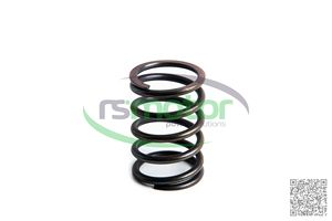 Machines Moteurs Ressort de soupape pour JENBACHER RS-174473 pour les industries du gaz naturel Nouveau utilisé en acier - Product Image 3