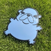 Miroir mural irrégulier en acrylique personnalisé avec photo d'animal de compagnie, design amusant de chien, pour chambre à coucher et décoration intérieure - Vente en gros