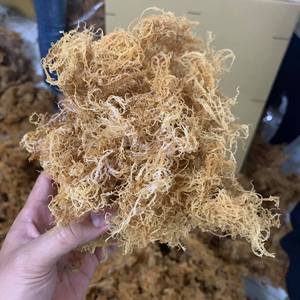 Algues marines séchées naturelles du Vietnam Eucheuma Cottonii Purple Gold Irish Seaweed Spinosum en vrac, emballage d'usine, étiquette personnalisée - Product Image 4