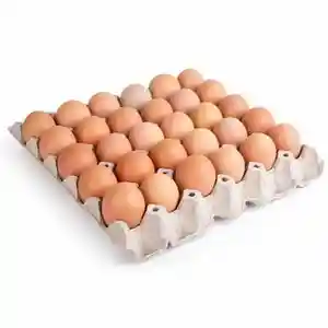 Taze Protein zengin çiftlik tavuk yumurtası tavuk yumurtası beyaz kabuk beyaz tedarikçisi