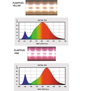 Chambre de croissance des plantes en vrac Test de régulation de pression Instruments de laboratoire médical croissance des plantes led crimate biotron - Product Image 5