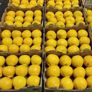 Nueva cosecha de frutas frescas naturales Naartjies a la venta - Product Image 4