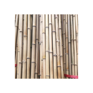 เสาไม้ไผ่แห้งขนาดตามสั่งจากเวียดนามเสาไม้ไผ่สำหรับทำสวนและตกแต่งเสาไม้ไผ่ธรรมชาติ - Product Image 1