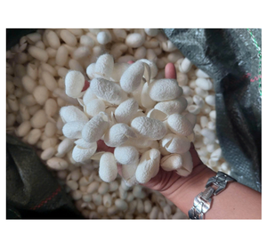 วัตถุดิบผ้าฝ้ายรังไหมธรรมชาติช่วยเพิ่มผลิตภัณฑ์สปาเพื่อความสบายอย่างอ่อนโยน - Product Image 1