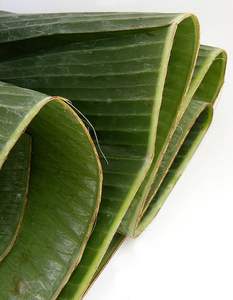 จากซัพพลายเออร์ 99 ข้อมูลทองเวียดนาม - จัดหาใบกล้วยจํานวนมาก - ห่ออาหารใบกล้วยอย่างยั่งยืน - Product Image 5