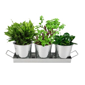 Jardinière personnalisée en métal à revêtement noir Pot de jardinière décoratif de petite taille avec seau de sol et plateau au prix de gros - Product Image 5