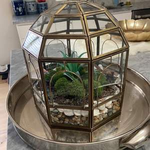 Terrarium en métal ouvert pour un accès facile aux plantes et un arrosage facile adapté à la décoration intérieure. - Product Image 3