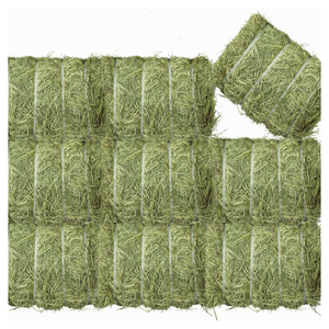 Pellets de alfalfa para caballos/Pellets de heno de alfalfa de calidad superior de grado alimenticio a la venta Pellets de heno de alfalfa a la venta a buenos precios - Product Image 4