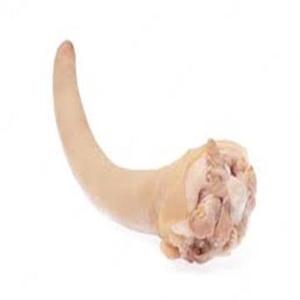 Queue de porc biologique congelée de haute qualité nutritive certifiée halal riche en vitamines processus IQF prêt pour l'exportation dans des boîtes en vrac - Product Image 4