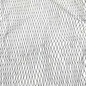 210d/9 * 9mmsq * 1000md * 31.05kg filet de pêche Sardines sac à main <span class=keywords><strong>Seine</strong></span> filet de pêche pour Sardine filet de pêche - Product Image 5