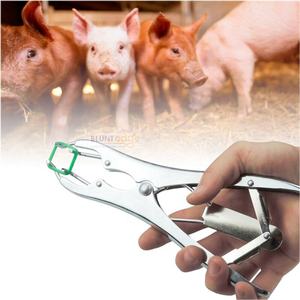 คีมหนีบปากนกแก้วเครื่องมือสัตวแพทย์นำกลับมาใช้ใหม่ได้คีมตัดขนสัตว์และแกะพร้อมแหวนยาง - Product Image 2