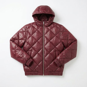 Chaqueta Acolchada con Capucha Brillante para Hombre, Ligera, Impermeable, de Plumón de Ganso, Abrigo de Invierno, Fábrica Personalizada OEM/ODM - Product Image 2
