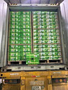 Coco Fresco Joven de Primera Calidad, con Cáscara Entera, Forma de Diamante, Piel Verde, 70-90 Días de Vida Útil, Calidad de Exportación Ben Tre - Product Image 4