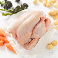 Vitamines biologiques de qualité supérieure, prix bas, vente en gros, poulet frais entier IQF, faible teneur en matières grasses, surgelé