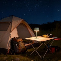 Lampe de table d'extérieur sans fil à énergie solaire en gros, 3 niveaux de luminosité tactiles, 3000K, en métal et plastique, rechargeable