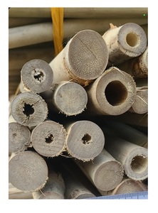 Postes de Bambú Artificial Natural para Decoración Interior y Exterior 99 Gold Data Factory Precio Barato al por mayor - Product Image 2