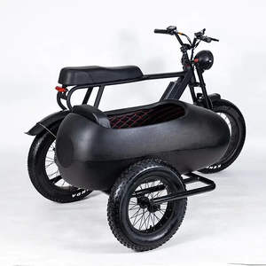 Triciclo Eléctrico PlayeBike 750w de 6 Velocidades Shimano con Sidecar, Disponible en Stock - Product Image 1