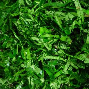 Hojas de batata IQF de alto contenido de nutrientes con sabor Natural y Color fresco (enteras, cortadas o mezcladas para todos los platos) - Product Image 3