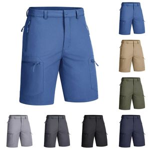 Shorts pour hommes Pantalons de travail pour hommes Mode New Solid Color Cargo Shorts Large Size Solid Zip Short Bottom Multipocket - Product Image 1