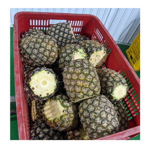 Ananas congelé du Vietnam en tranches IQF morceaux d'ananas congelés pelés en dés emballés pour le service alimentaire et l'approvisionnement en exportation - Product Image 6