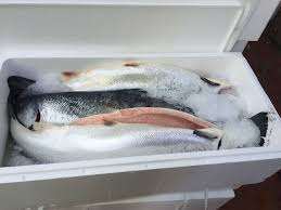 ปลาแซลมอนแอตแลนติก (Salmo Salar)-คุณภาพพรีเมียม โปรตีนสูง สดใหม่ แช่แข็งแบบ BQF ชิ้นเนื้อปลา บรรจุภัณฑ์สุญญากาศ-เก็บรักษาด้วยเกลือ-1กก. ลอนดอน - Product Image 2