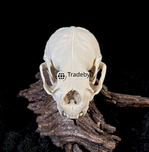 Tradebyd Figurine sculptée d'animaux en résine faite à la main Statue décorative de qualité supérieure pour maisons de luxe et bureaux élégants - Product Image 3