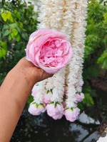 Karangan Bunga Melati dengan Mawar Peony untuk Dekorasi Pernikahan India Selatan, Dekorasi Mandap, Dekorasi Pernikahan Muslim, Latar Belakang Baby Shower