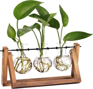 Terrario de cristal con marco de madera rústico para exhibición de plantas de interior decoración de oficina en casa centro de mesa de la India - Product Image 1