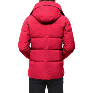 Doudoune décontractée hiver personnalisée à capuche hiver hommes duvet matelassé bulle veste fabricants de gros hiver vestes - Product Image 2