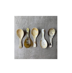 Cuillère en corne de buffle de haute qualité pour la restauration rapide et la vaisselle à emporter 10g pour la cuisine et les mariages en vente - Product Image 6