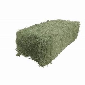 Offre Spéciale de balles de foin de luzerne aliments pour animaux au prix de gros - Product Image 6