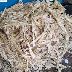 ชานอ้อยส่งออก - Product Image 3