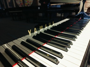 Piano de cola Yamaha G2 de alto rendimiento con diseño clásico para escenario y estudio, con un rico tono acústico 758968 - Product Image 2