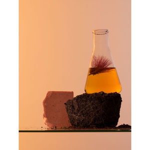 Olio di bellezza multiuso per la cura e lo styling dei capelli - Product Image 1