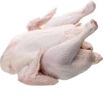 Zampe di pollo congelate HALAL, ali di pollo, quarti di coscia di pollo