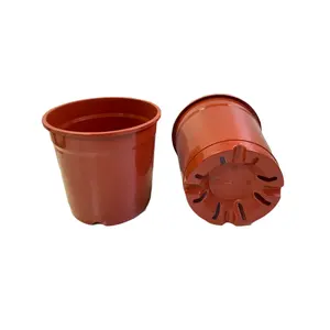 Propagation Plant Pot