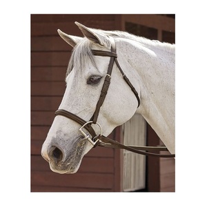 Meilleure qualité selle anglaise traditionnelle occidentale en cuir accessoires couronne bride rembourré sourcil bande licou fantaisie couture - Product Image 4