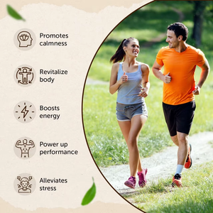 Poudre de racine d'ashwagandha 100 % naturelle OEM 2026 – Soutien ayurvédique naturel pour le soulagement du stress, la force et l'énergie - Product Image 3