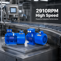 Moteur électrique à induction triphasé série Y3VP haute vitesse 2910 tr/min, vitesse réglable par conversion de fréquence