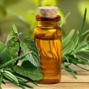 Huile de menthe poivrée biologique naturelle pure à vendre à des prix raisonnables pour l'exportation dans le monde entier - Product Image 5