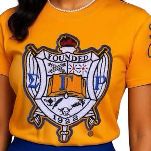SGRho Shield Chenille Tee Ropa de hermandad griega Logotipo de escudo bordado dorado Camiseta de algodón Premium Ropa de estilo universitario - Product Image 6
