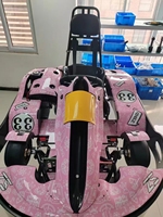 Vehículo de Karting Eléctrico de Alta Potencia con Motor de 4 Tiempos, 750W, Velocidad Máxima de 75km/h, para Adultos y Niños, para Diversos Terrenos