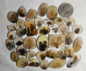 Lote de Cabujones de Ágata Dendrítica de Formas Mixtas, Piedras Preciosas Sueltas Naturales de Color Marrón, 5000 Quilates para la Fabricación de Joyas, Corte Ovalado - Product Image 1