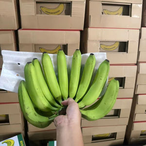 Plátanos Cavendish frescos de alta calidad, gran volumen de exportación a Asia/Oriente Medio - Product Image 2